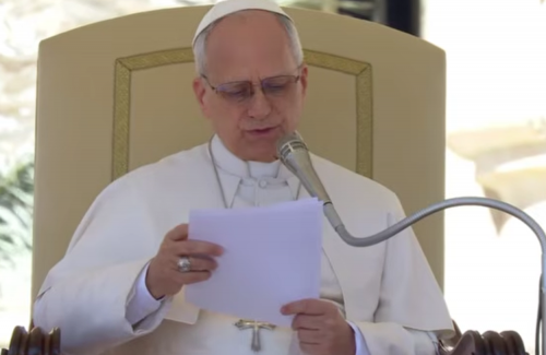 Papa: até o sofrimento, vivido em união com Jesus, é caminho para a santidade