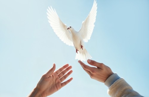 Leão XIV: perseveremos em invocar o dom da paz para o mundo inteiro