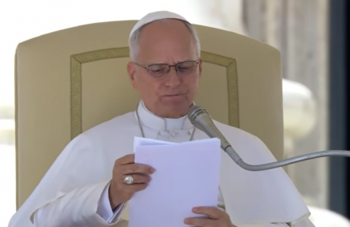 Papa: a caridade deve orientar o progresso. Deus e o homem não são rivais